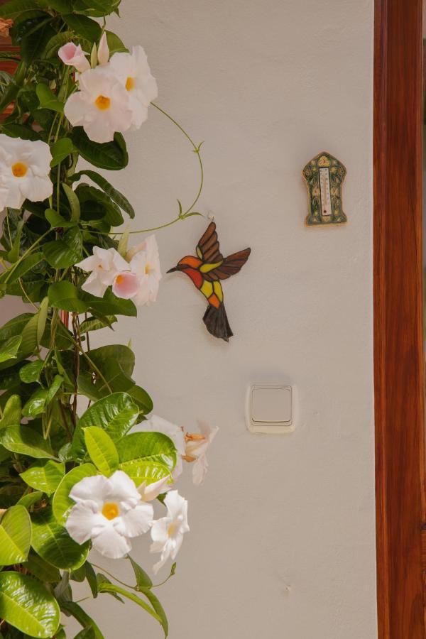 Casa Carmen Villa Haria Ngoại thất bức ảnh
